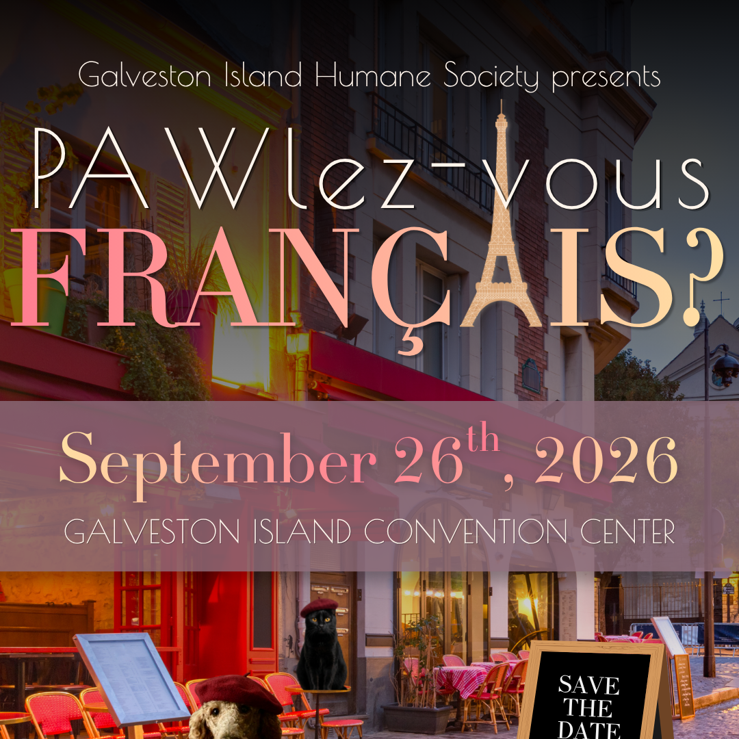PAWS Gala 2026 Raffle - logo